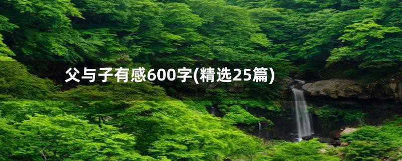 父与子有感600字(精选25篇)