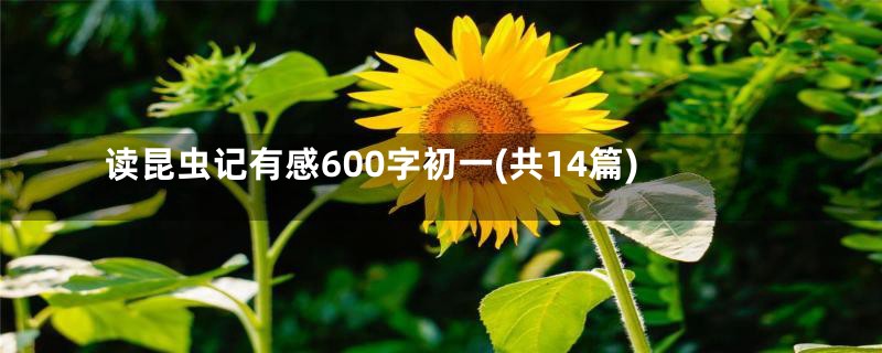 读昆虫记有感600字初一(共14篇)