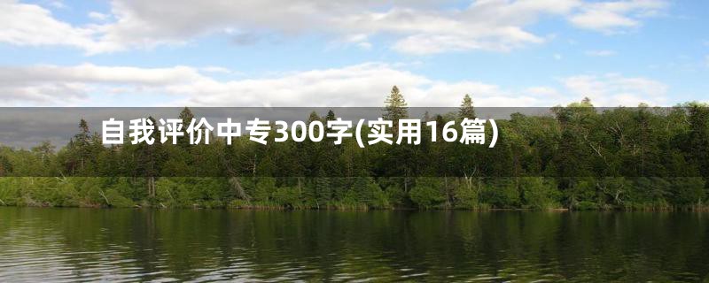 自我评价中专300字(实用16篇)