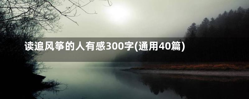 读追风筝的人有感300字(通用40篇)