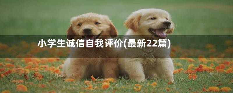 小学生诚信自我评价(最新22篇)