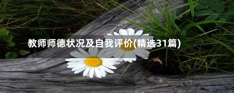 教师师德状况及自我评价(精选31篇)