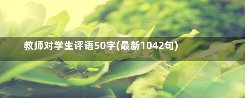 教师对学生评语50字(最新1042句)