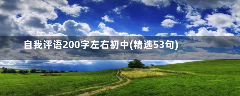 自我评语200字左右初中(精选53句)