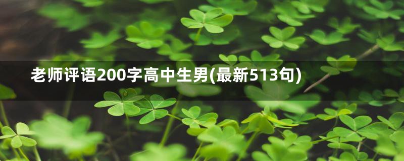 老师评语200字高中生男(最新513句)