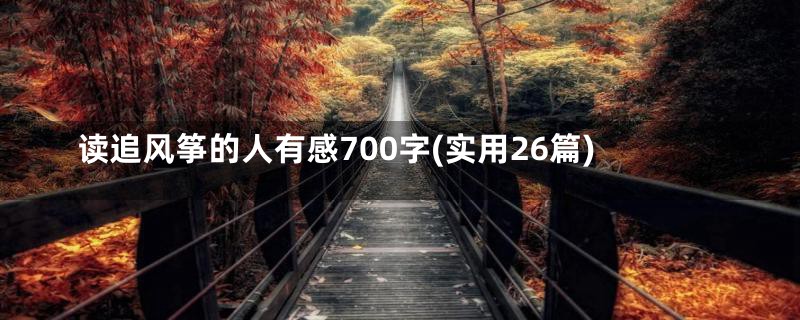 读追风筝的人有感700字(实用26篇)