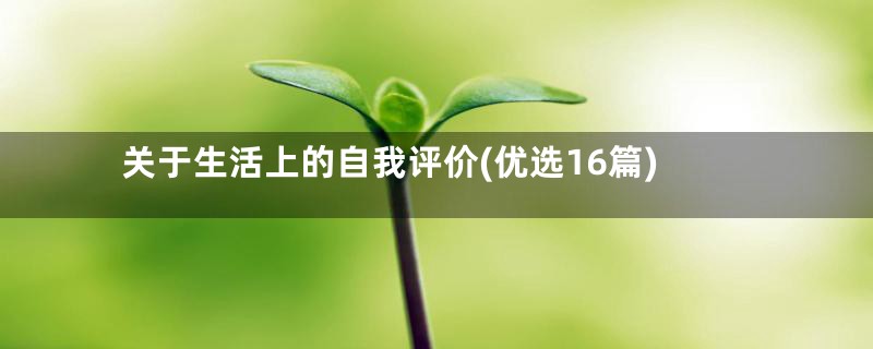 关于生活上的自我评价(优选16篇)