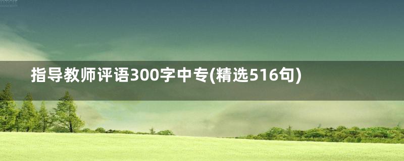 指导教师评语300字中专(精选516句)