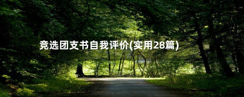 竞选团支书自我评价(实用28篇)