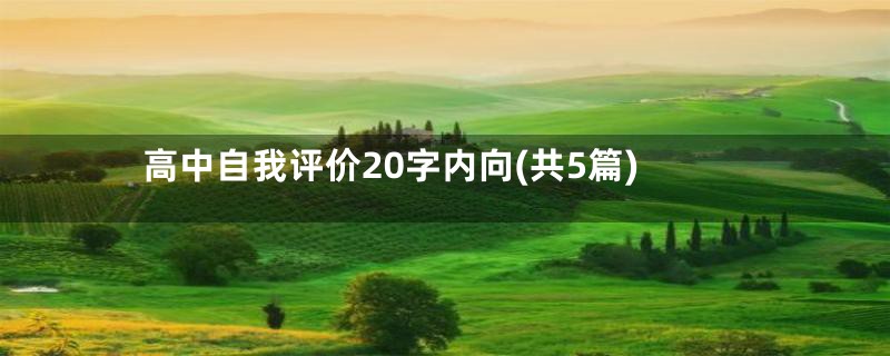 高中自我评价20字内向(共5篇)