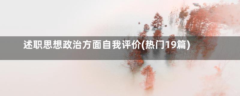 述职思想政治方面自我评价(热门19篇)