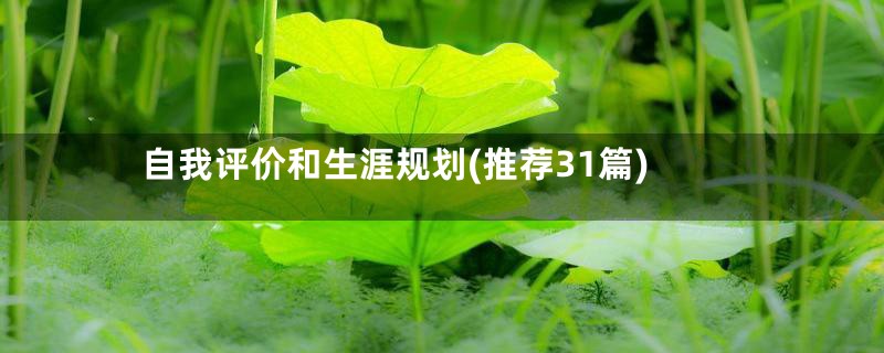 自我评价和生涯规划(推荐31篇)