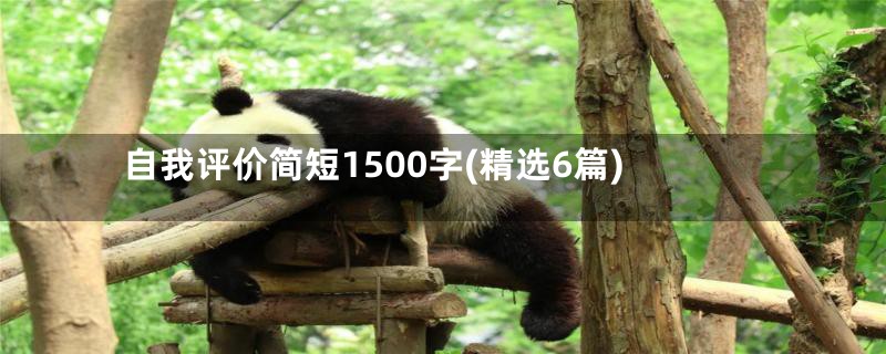 自我评价简短1500字(精选6篇)