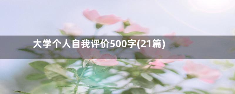 大学个人自我评价500字(21篇)