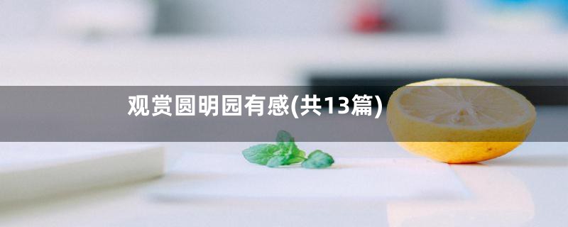 观赏圆明园有感(共13篇)