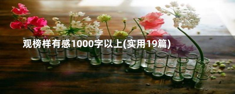 观榜样有感1000字以上(实用19篇)