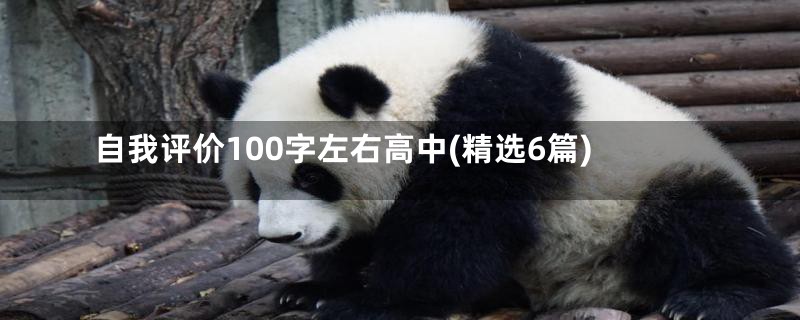 自我评价100字左右高中(精选6篇)