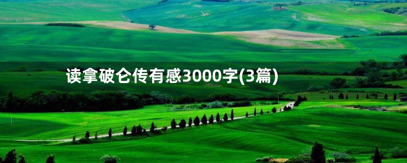 读拿破仑传有感3000字(3篇)