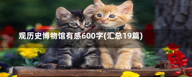 观历史博物馆有感600字(汇总19篇)