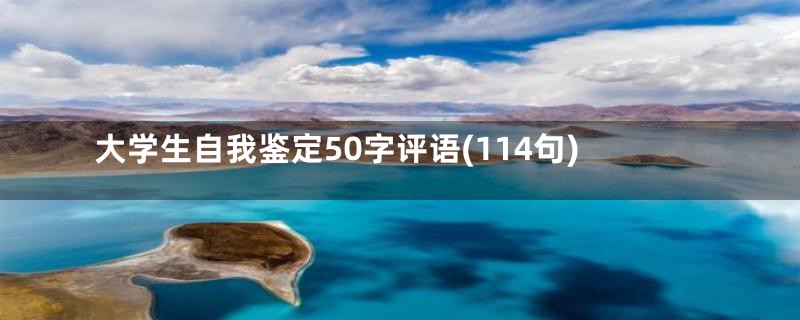 大学生自我鉴定50字评语(114句)