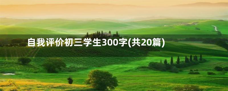 自我评价初三学生300字(共20篇)