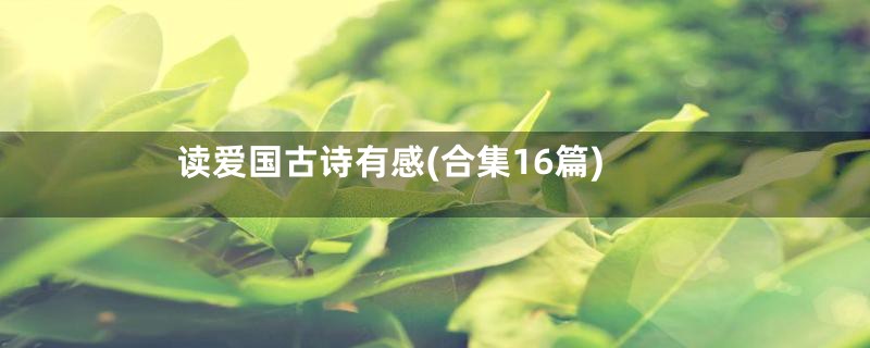 读爱国古诗有感(合集16篇)