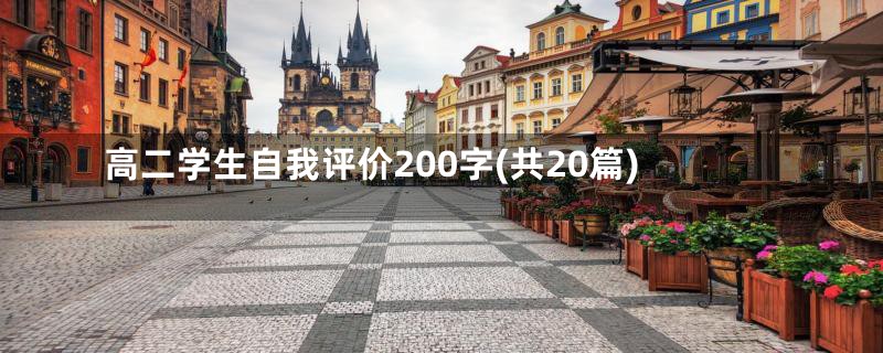 高二学生自我评价200字(共20篇)